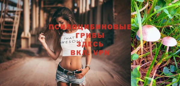 стаф Алексин
