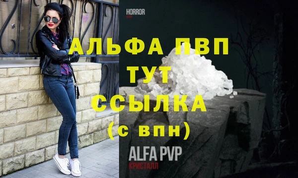 стаф Алексин